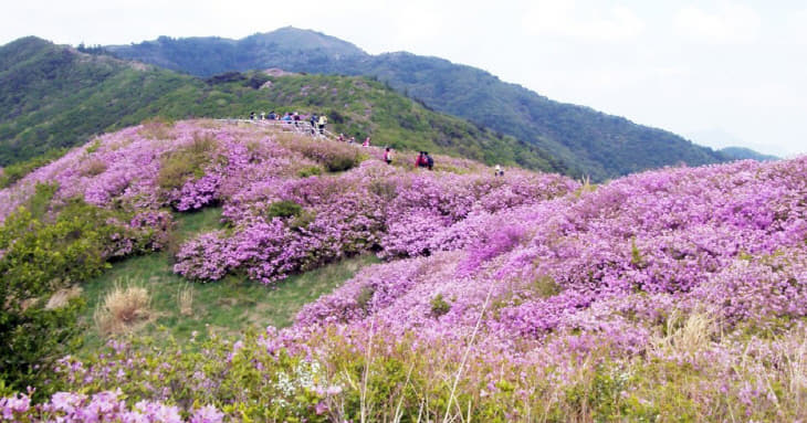 지리산