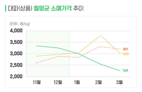 대파 월평균 소매가격