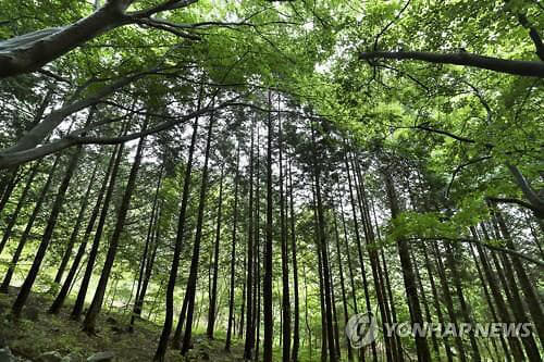 산림청