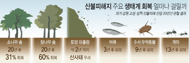 피해복구