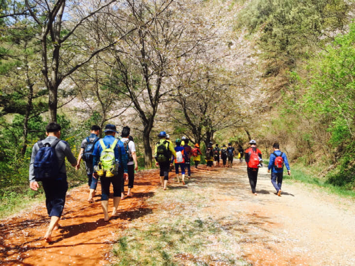 계족산황톳길 맨발걷기