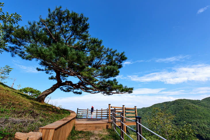 (사진1)국립산림치유원 주치마을 전망대