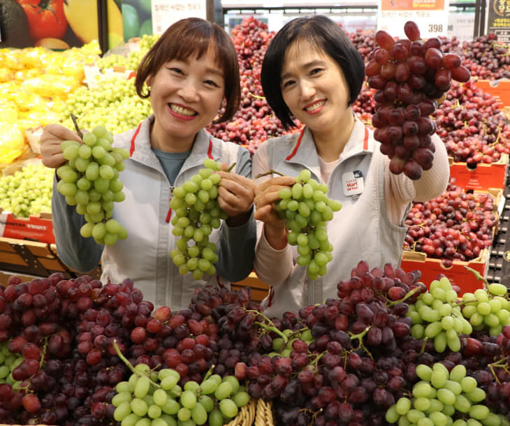 롯데마트 노은점, 봄나들이엔 씨없는 포도가 좋아요-02