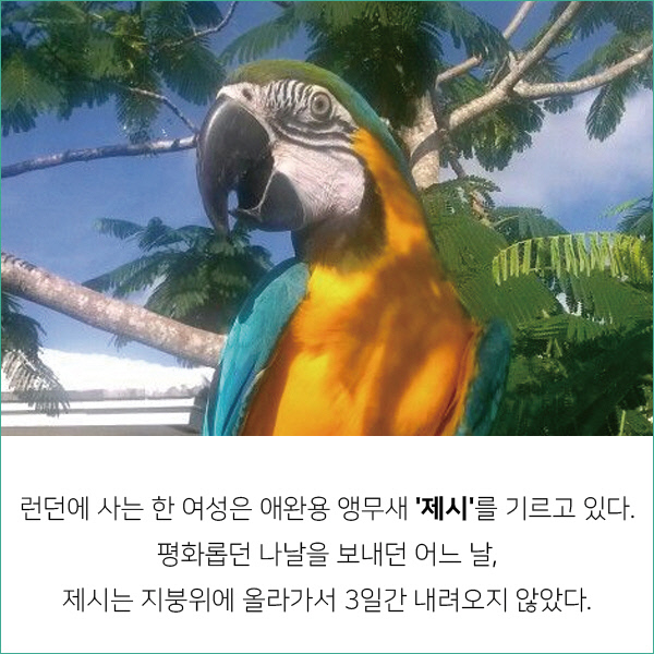 똑같은 모습이 비춰지지 않는다는 물에 비친 세상