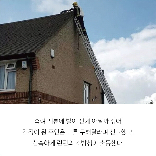 똑같은 모습이 비춰지지 않는다는 물에 비친 세상