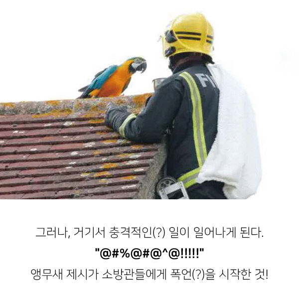 똑같은 모습이 비춰지지 않는다는 물에 비친 세상