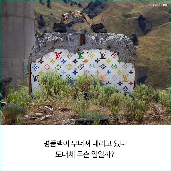 삼