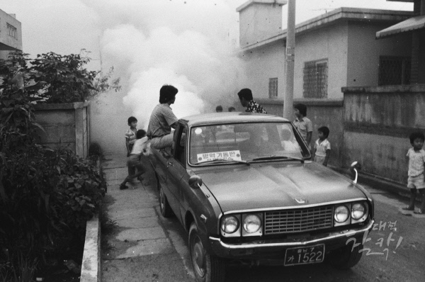 1981--_0