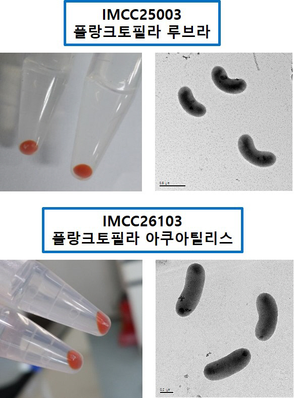 사진1