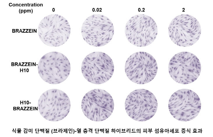 JD_넥스젠