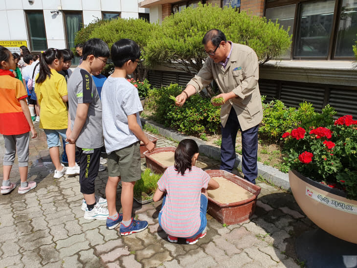 2019.05.30 꿈나무 벼사랑 체험행사 사진2