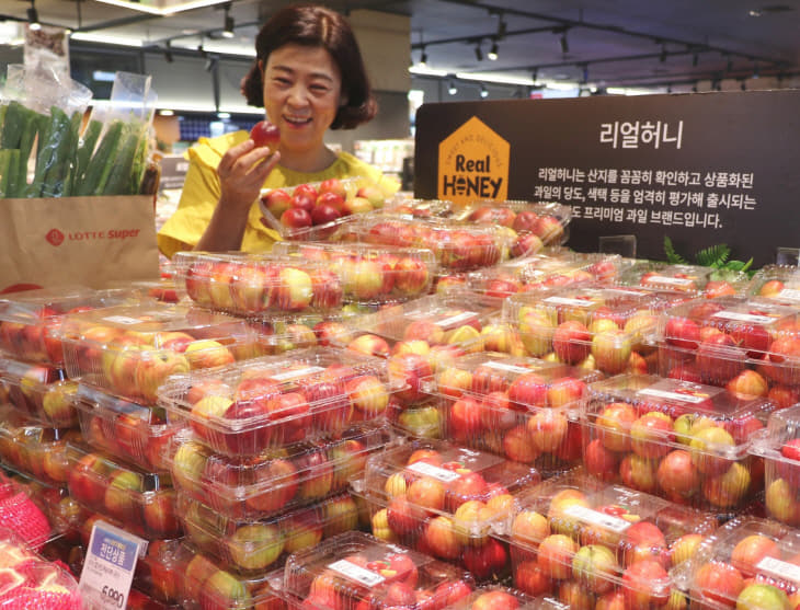 롯데슈퍼 엑스포점, 제철 비타민 햇과일 맛보세요-01