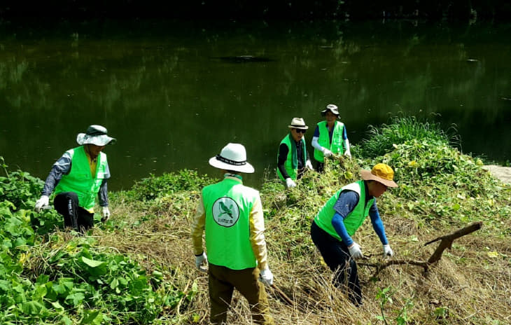 사진2.생태계교란야생식물제2