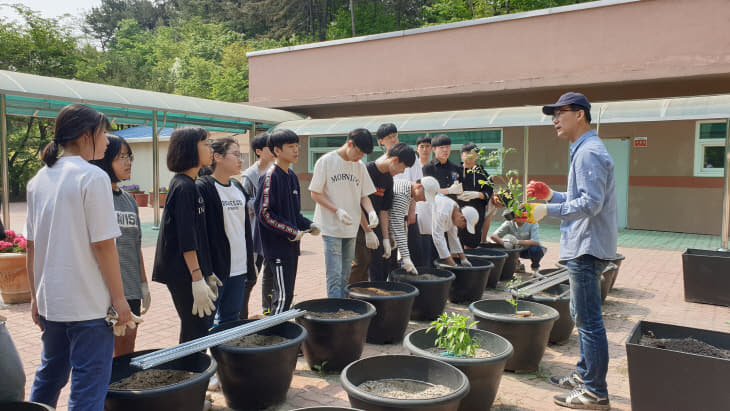 20190512_095404(토마토,고추심기)