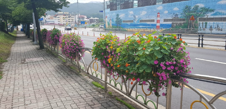 6. 난간걸이 화분 1