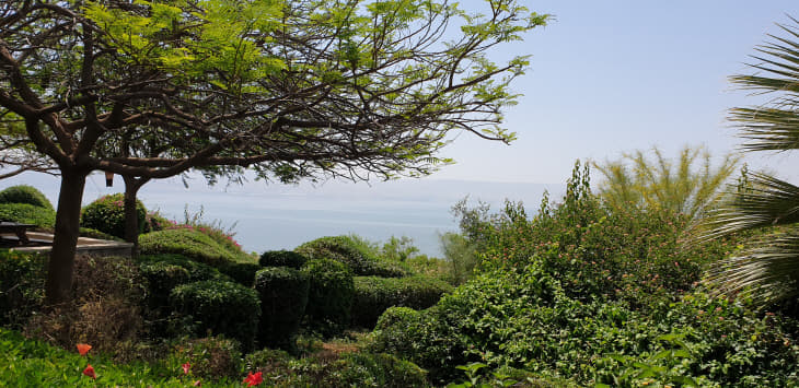 20190520_110316