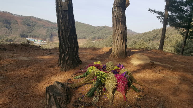 (사진2) 국립하늘숲추모원 전경