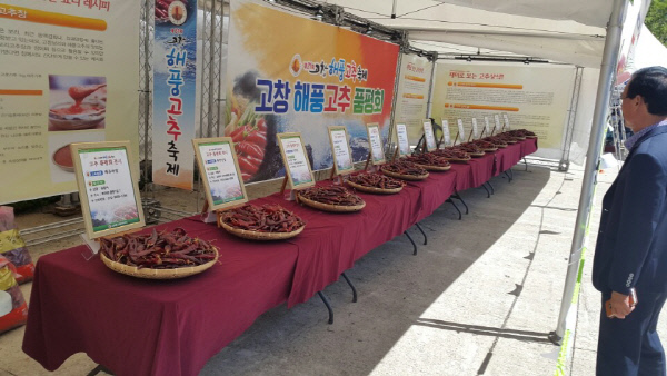 고창해풍고추축제4
