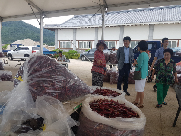 고창해풍고추축제 2