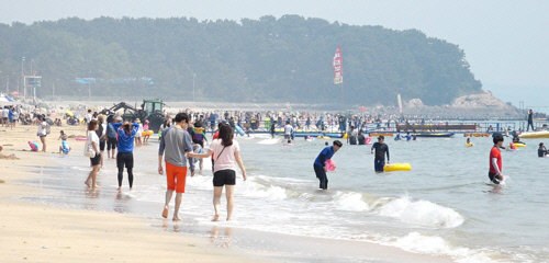 대천해수욕장 연합뉴스