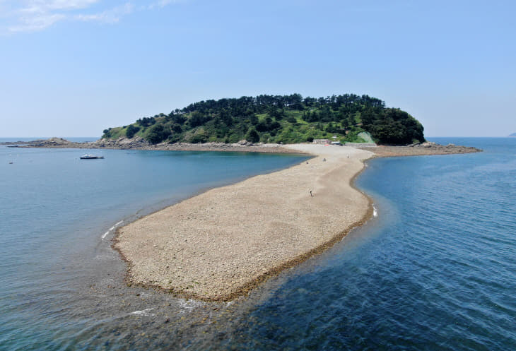내파수도 (8)