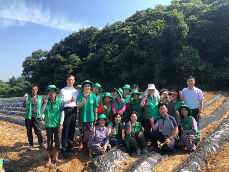 7. 소이면 새마을협의회 사랑의 배추심기
