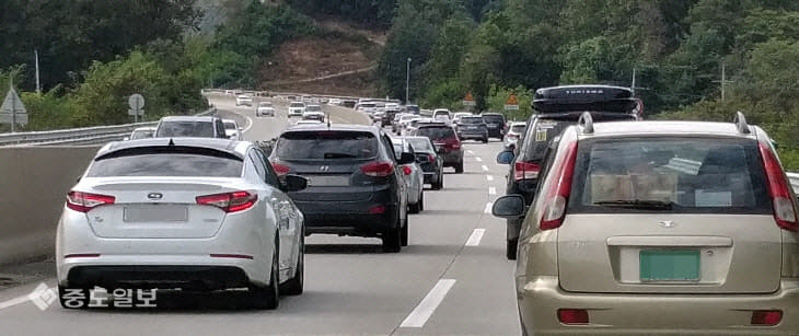 멀미약