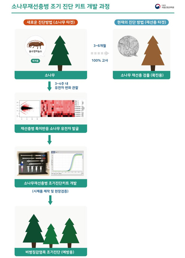 소나무재선충병 진단키트