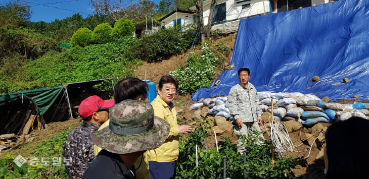 남정면