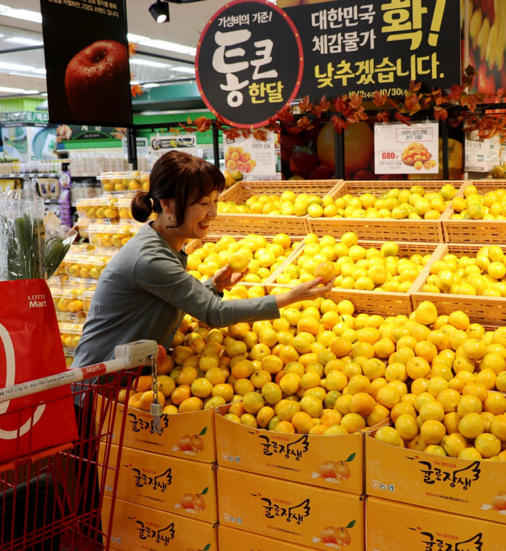 롯데마트 노은점, 달콤한 제주 하우스 감귤 맛보세요-02