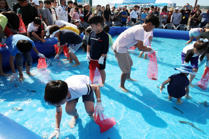 제20회 안면도백사장 대하축제 (2)