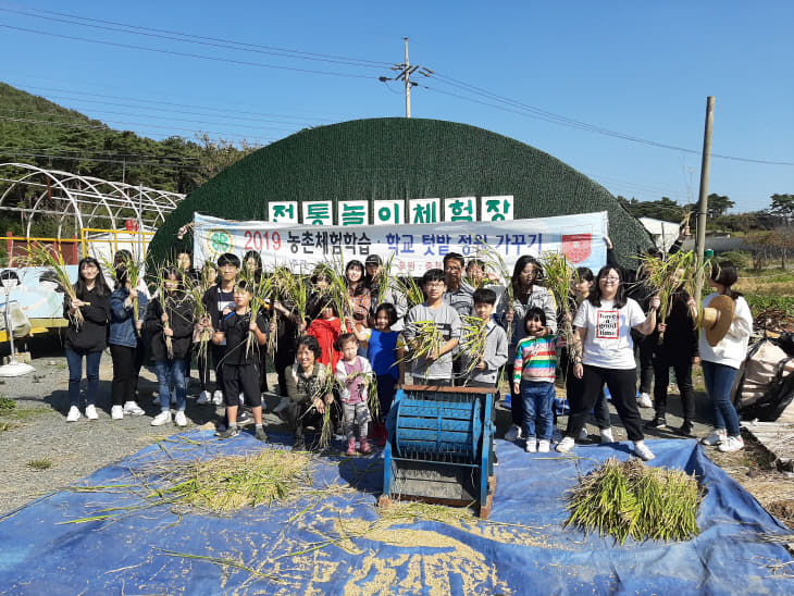 벼탈곡체험