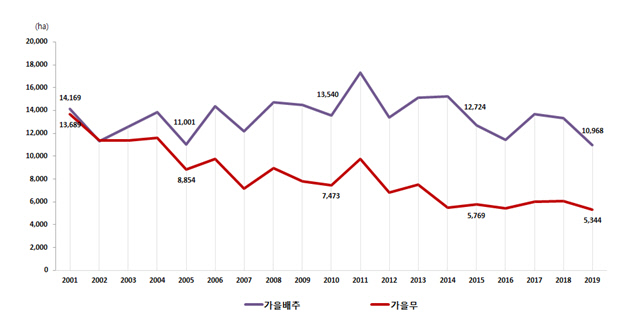 연도별 가을배추와 무 재배면적 추이