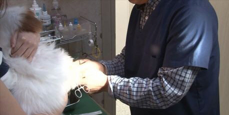 C0A8CA3D00000163B03BABBB0010CAEC_P2