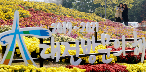 20191106-대전역 동광장 국화