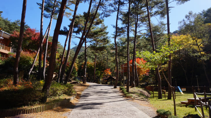 사진2_국립검마산자연휴양림 입구