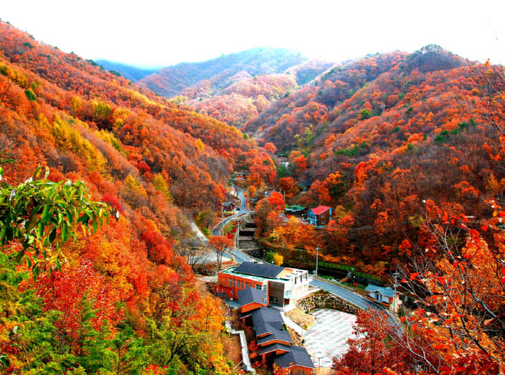 1. 민주지산 휴양림 (2)