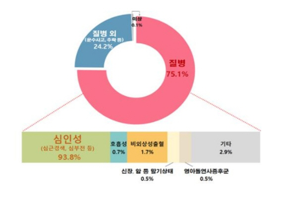 심정지 관련