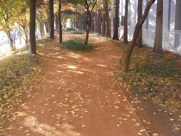 사본 -SANY0329