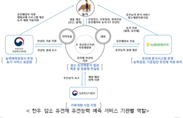 한우암소
