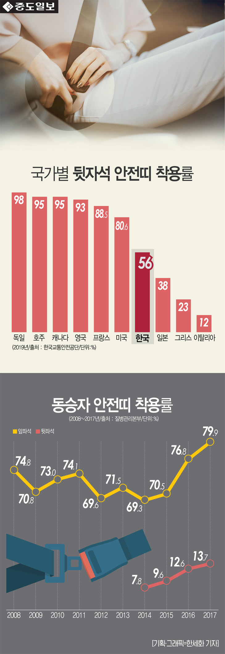 인포-안전벨트