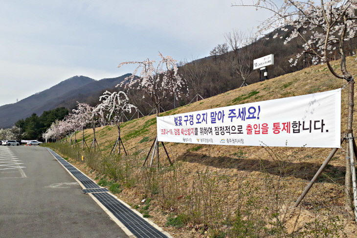 200402 충주댐 벚꽃길 통제1
