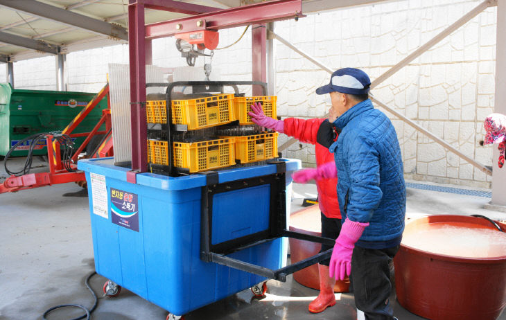 볍씨 온탕소독 (2)