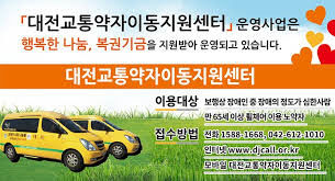 대전교통약자