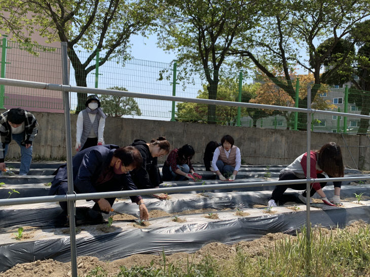 서산여자중학교, 단장중인 학교-1