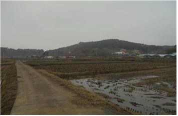 충남도 태안군 태안읍 상옥리 소재 답