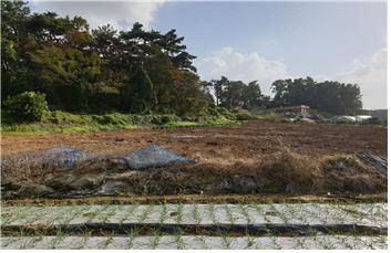 충남도 태안군 남면 진산리 소재 전