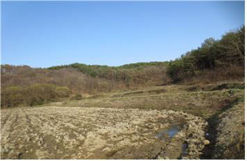 충남도 예산군 신양면 연리 소재 답