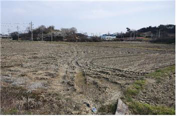 충남도 서천군 마서면 송내리 소재 답