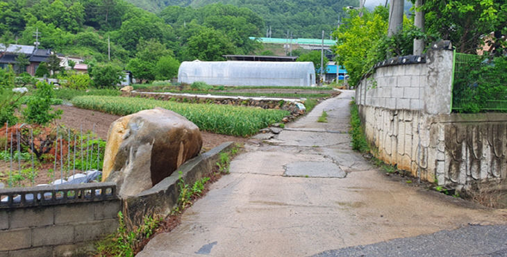 보도1)단양군 대강면 사업대상지 사진1